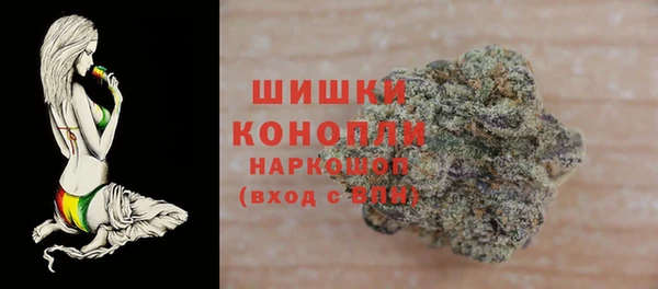 хмурый Гусь-Хрустальный