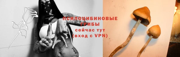 дурь Армянск