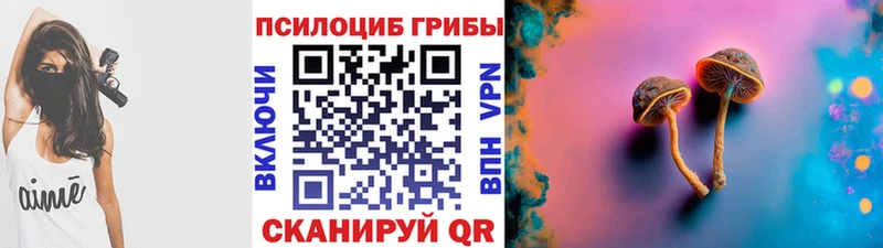 что такое   мега рабочий сайт  Галлюциногенные грибы Psilocybine cubensis  Байкальск 
